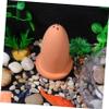 Clay Spawning Cone for Colorful and Angelfish view 4