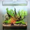 STOBAZA Decorative Artificial Resin Aquarium Plants, Realistic Look, Orange view 4