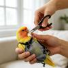 Reusable Breathable Escape-Proof Travel Bird Carrier view 3