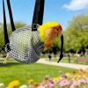 Portable Escape-Proof Bird Carrier Bag with Harness view 3