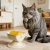 Licker Non-Slip Slow-Feeder Bowl for Pets, 20 x 20 x 10 cm view 2