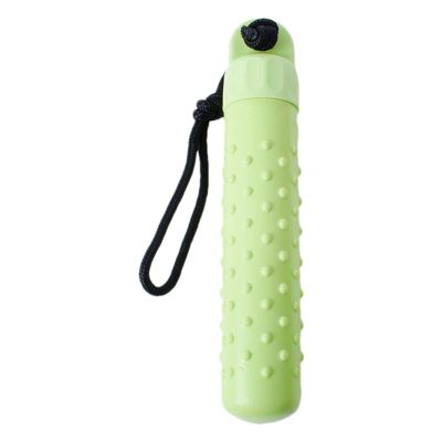 Floating Dog Toy