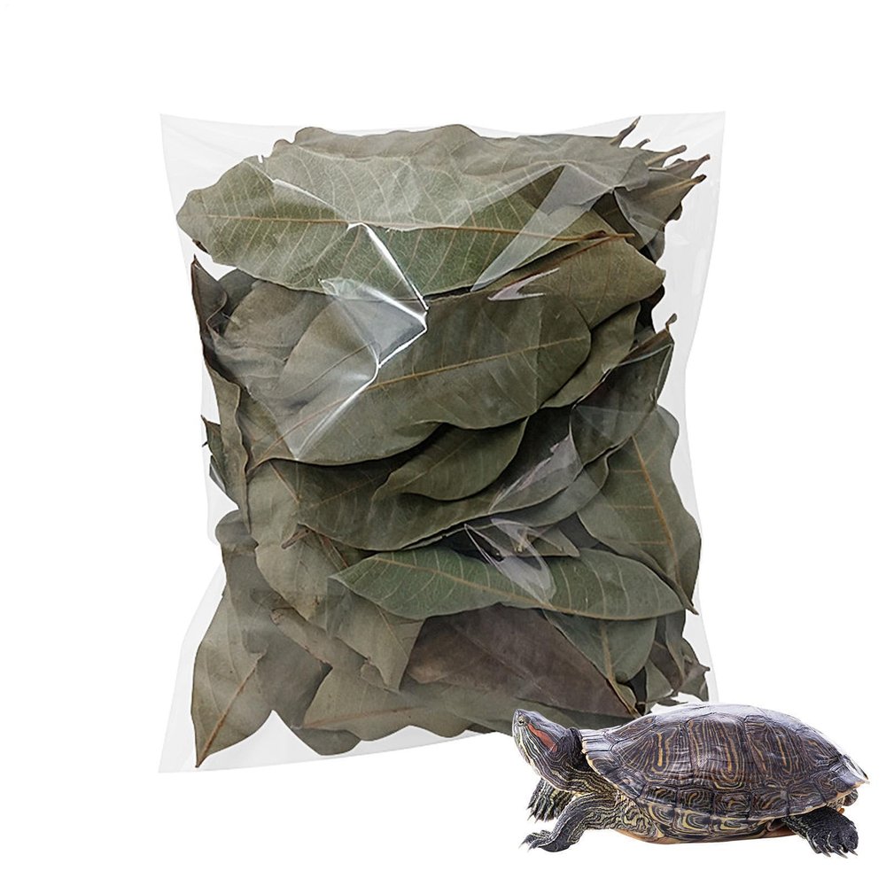 Natural Longan Leaf Litter for Reptiles, 50 Pieces