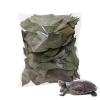 Natural Longan Leaf Litter for Reptiles, 50 Pieces view 1