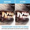 BCZR Dog Toothbrush Set, 7-Piece view 4