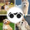 Anti-Fog Pet Sunglasses for Dogs view 4