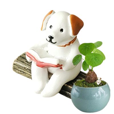 Woalopted Resin Animal Figures