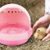 GALPADA Portable Plastic Parrot Cage with Soft Cushion and Breathable Ventilation Design for Outdoor Trips and Camping view 4