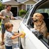 Car Window Cushion for Pets view 3
