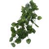 Reptile Simulation Green Vine view 3