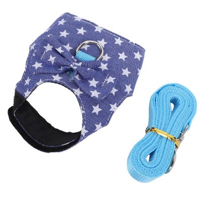 Pet Harness and Leash Set for Guinea Pigs and Ferrets