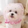 Dog Face Mesh Net - Breathable Muzzle Guard view 3