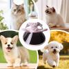 Lunaobrik Pet Sun Hat | UV Protection Cap for Small Dogs view 4