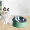 Whtkoph Elevated Cat Bowl view 3