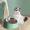 Whtkoph Elevated Cat Bowl view 4