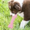 Dog Bone, Imitation Bone for Dental Cleaning view 3