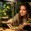 Reptile Enclosure Accessories for Climbing and Decor view 4