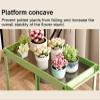 NHDVDVAV Mobile Rolling Plant Stand with Wheels, 2-Tier Iron Flower Rack for Indoor and Outdoor Use view 3
