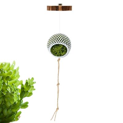 Spider Enclosure Accessories