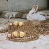KAJNBN Claw Grinding Board, Natural Look, Brown Synthetic Material, for Guinea Pigs and Squirrels view 4