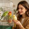 Bird Feeder Toy for Snacks view 3