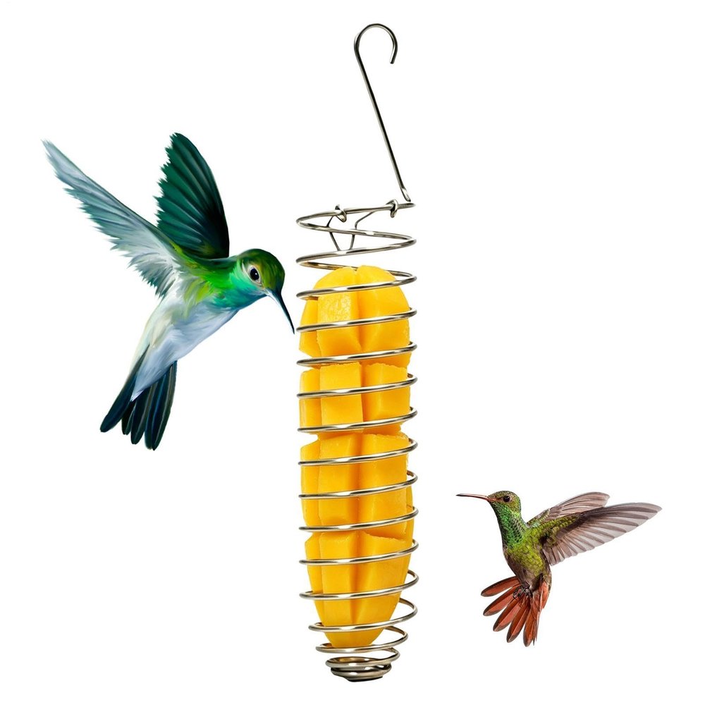 Bird Food Holder – Foraging Treat Tray and Food Bowl for Budgies, Cockatiels, Parakeets, Canaries, Monk Parakeets, and Finches