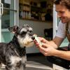 Generic Dog Nose Sun Balm SPF 25 for Puppy Snouts view 3