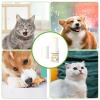 Generic Dog Nose Sun Balm SPF 25 for Puppy Snouts view 4