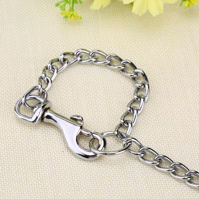 Rengue 2-Way Chain Dog Leash