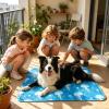 Cooling Mat for Dogs, Lightweight Flexible Gel Mat view 2