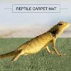 Moss Mat for Reptiles, 2-Piece Set, Washable Cotton, Green, Turtles view 4