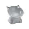 QUILSTM Elevated Ceramic Dog Water Bowl view 4