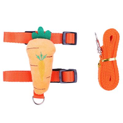 Xinsheinelry Harness and Leash Set for Small Pets