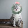 KOCKSHION Adjustable Green Cat Recovery Collar, Soft Protective Donut Collar view 4