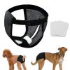 Reusable Pet Training Pants view 3