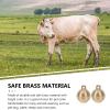 CVUTOVO Brass Pet Bells, Gold, 2-Pack, for Dogs, DIY Crafts, and Pet Collars view 4