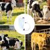 Genrico Calf Milk Bottle Feeder, 4 L Nursing Tube Dispenser for Cattle, Calves, Lambs and Livestock view 4