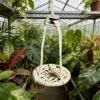 YPBEW Handwoven Hammocks for Reptiles, Small Mammals, and Birds view 3