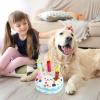 Generic Squeaky Stuffed Dog Toy, Birthday Cake view 3
