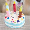 Generic Squeaky Stuffed Dog Toy, Birthday Cake view 4