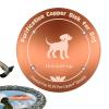 Copper Bird Bath Disc view 3