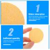 SWOOMEY Yellow Moisture Sponge for Hermit Crabs - 12 Pack view 3