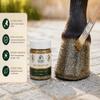 Kia Ora Equine Gold Glitter Hoof Polish for Horses, 150 ml view 4