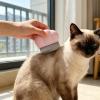 Efficient, Universal Massage Brush for Pets view 3