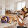 Calming Dog Pillow with Neck Support view 2
