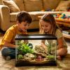 Generic Feeding Bowl for Bearded Dragons view 2