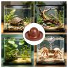 Generic Feeding Bowl for Bearded Dragons view 4