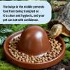 Fruusv Reptile Feeding Bowl - Chameleon Food Container view 4