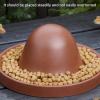 Reptile Feeding Bowl and Feeding Station view 4