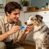 Pet Toothbrush Pen for Dogs view 3